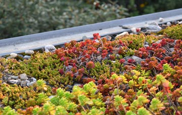 the cost of Tuesnoad green roof installation