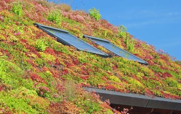Tuesnoad living roof systems