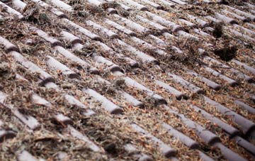 Tuesnoad roof cleaning companies