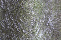 Tuesnoad fibreglass roof work